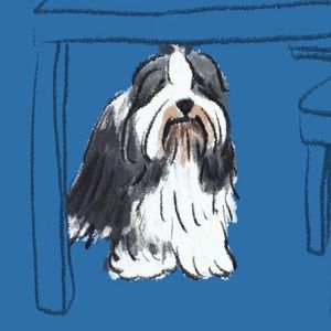 Meet your Posher, Angelina